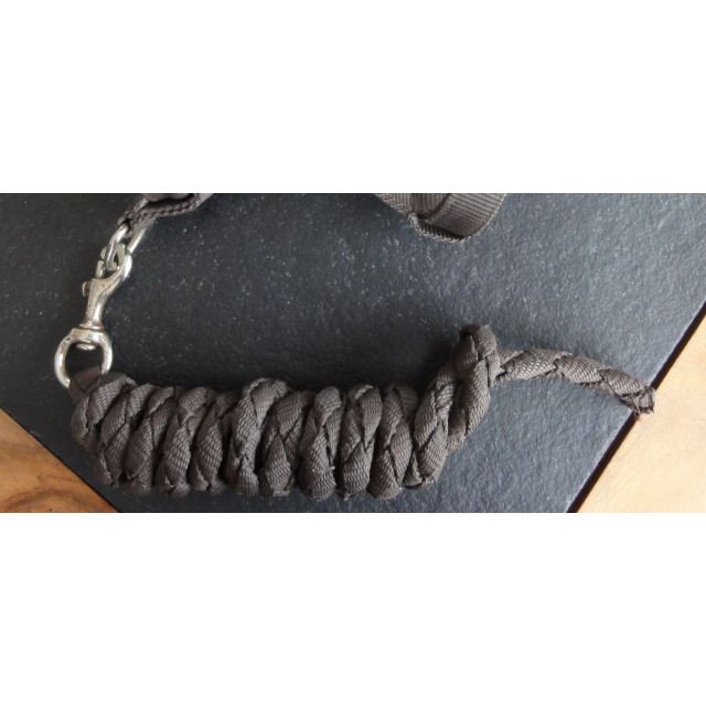 Licol à moumoute choco-ciel et sa longe