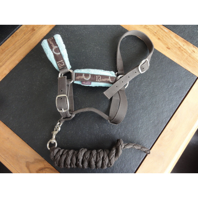 Licol à moumoute choco-ciel et sa longe