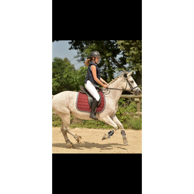 Ensemble tapis et bonnet harcour