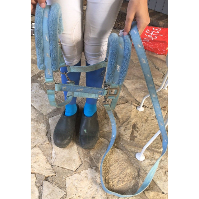 Licol moumoute bleu
