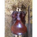 Selle Waldhausen