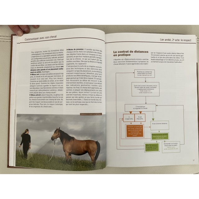 Livre tres interessant sur la communication avec les chevaux