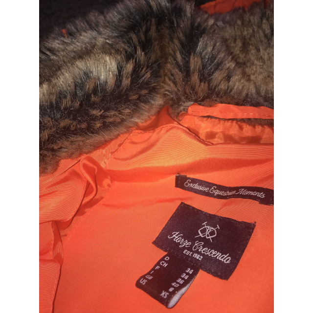 Blouson horse crescendo