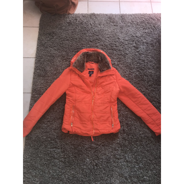 Blouson horse crescendo
