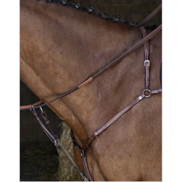 Collier de chasse Éric Thomas
