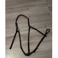 Collier de chasse Éric Thomas