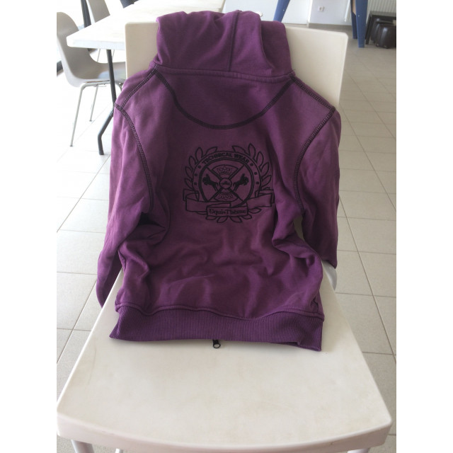 Gilet equitéme violet