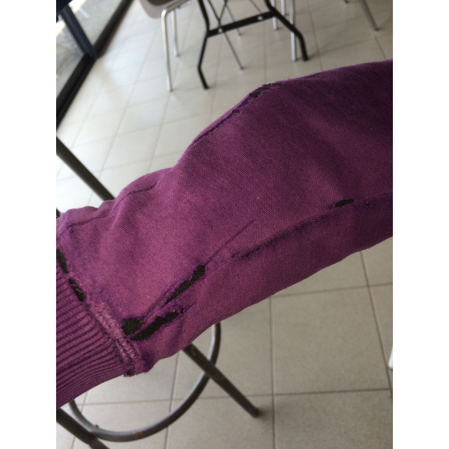 Gilet equitéme violet
