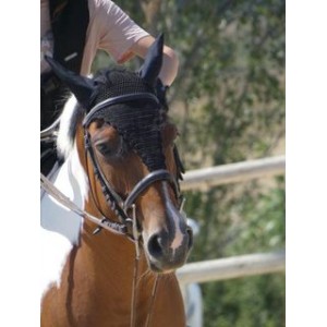 bonnet long taille cheval