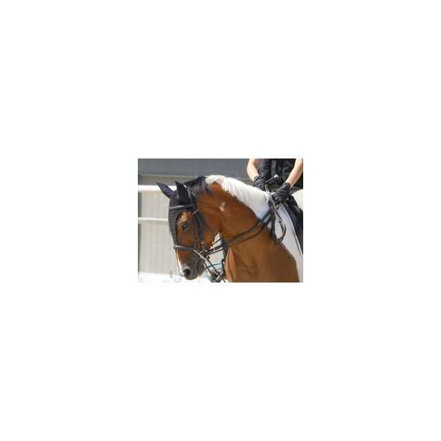 bonnet long taille cheval