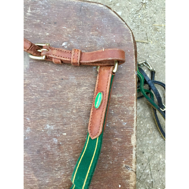 Collier de chasse Chetak