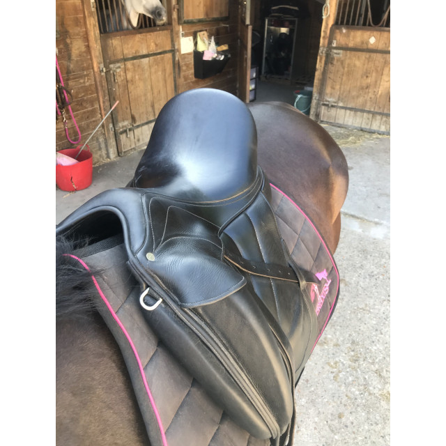 Selle dressage antares