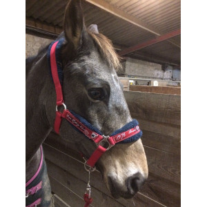 Licol rouge