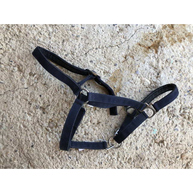 Licol a 5euro