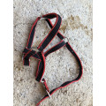 Licol a 5euro