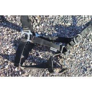 Licol nilon noir Showmaster