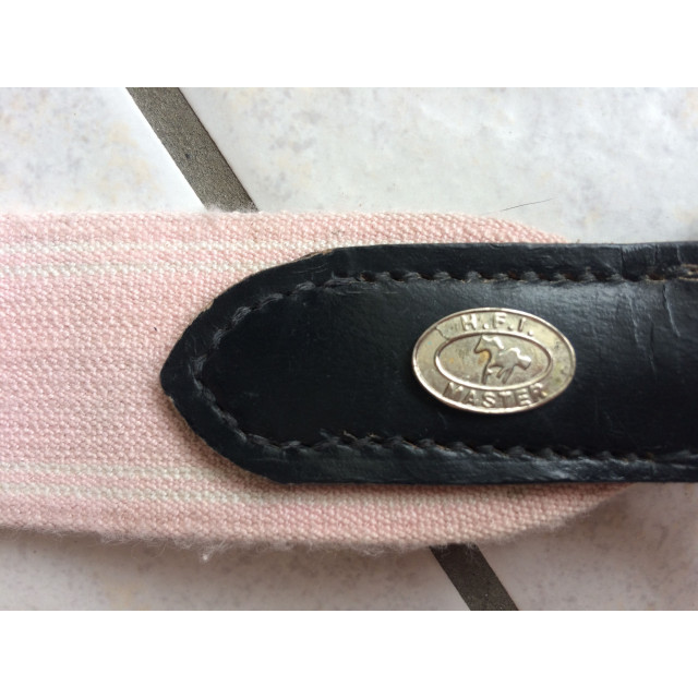 Collier de chasse HFI master