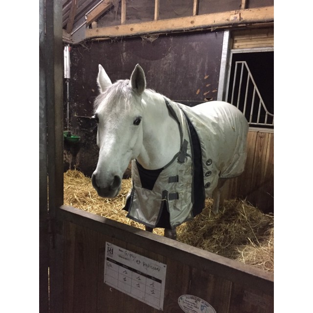 Couverture imperméable 450Grammes