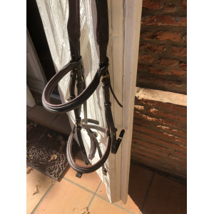 Bridon mountain horse