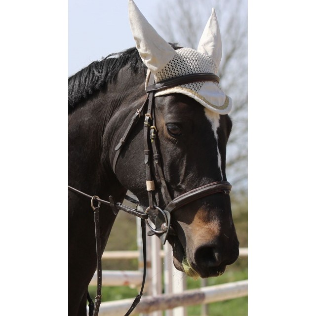 Bridon mountain horse