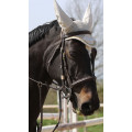 Bridon mountain horse