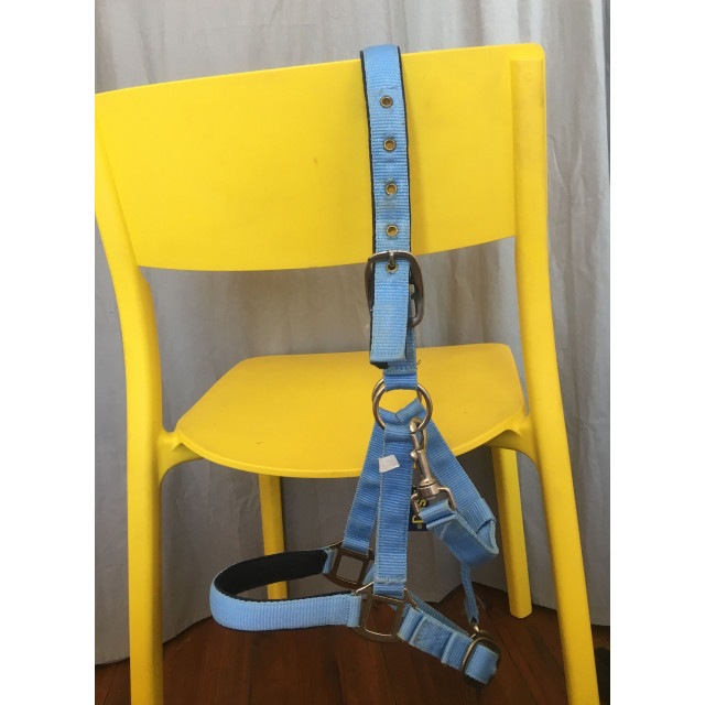 Licol PONEY-COB-PUR SANG