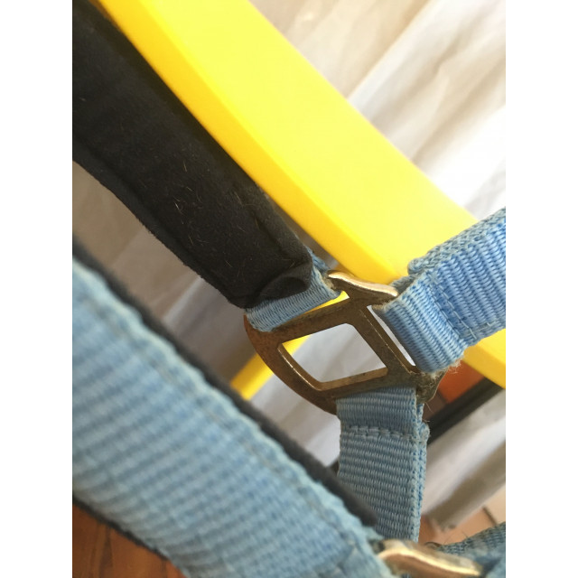 Licol PONEY-COB-PUR SANG