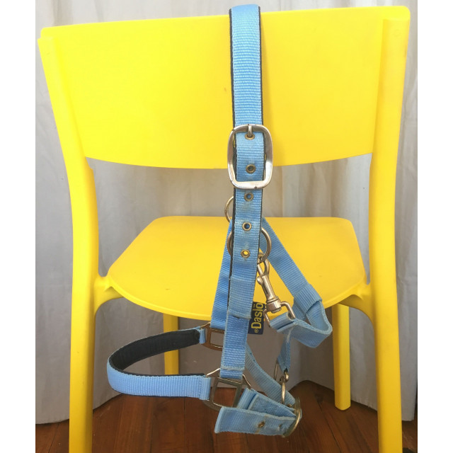 Licol PONEY-COB-PUR SANG