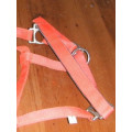 Licol rouge EQUIP HORSE taille full (taille cob) avec longe