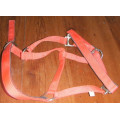 Licol rouge EQUIP HORSE taille full (taille cob) avec longe
