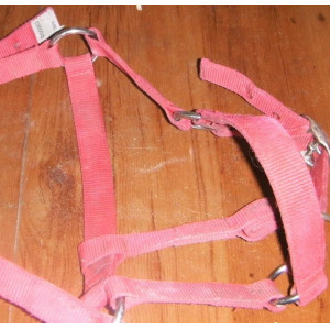 Licol rouge pour poney FOUGANZA