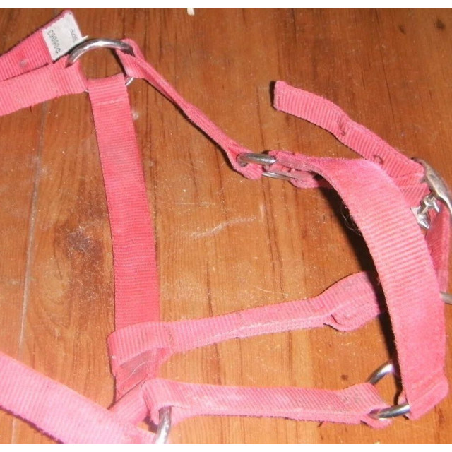 Licol rouge pour poney FOUGANZA