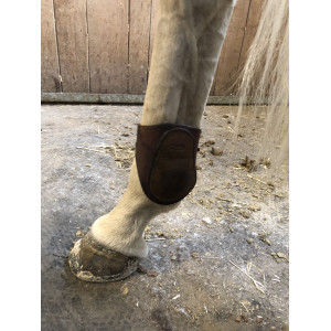 Ensemble de guêtres et protèges boulets CWD