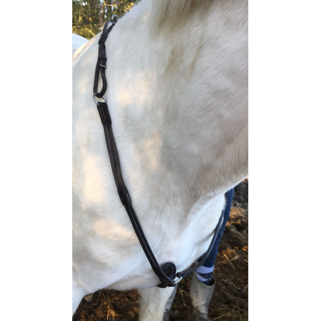 Collier de chasse