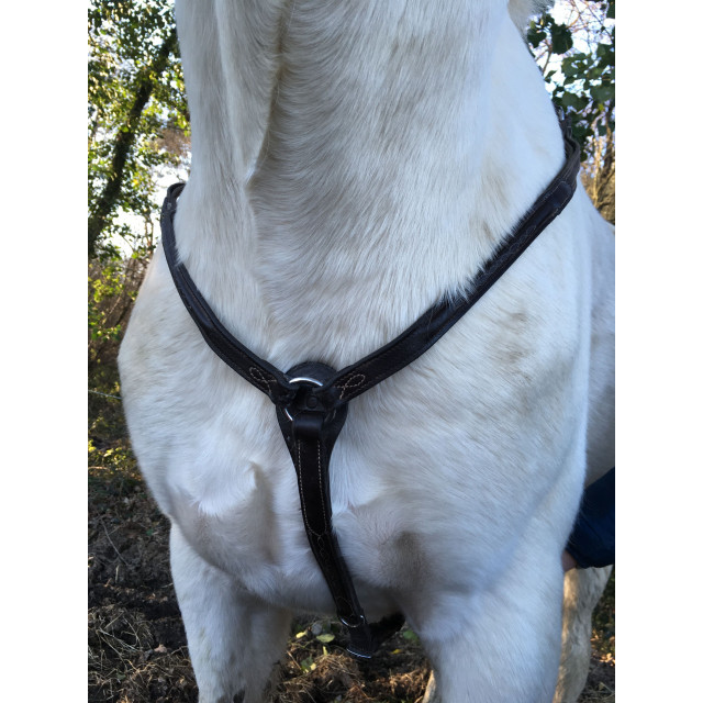 Collier de chasse