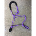 Licol éthologique violet/noir fait mains