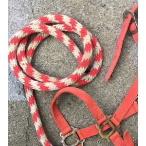 Licol + longe rouge taille poney