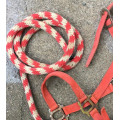 Licol + longe rouge taille poney