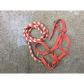 Licol + longe rouge taille poney