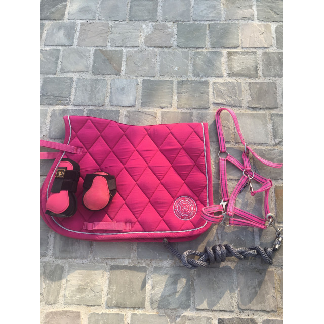 Ensemble rose