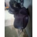 Selle dressage
