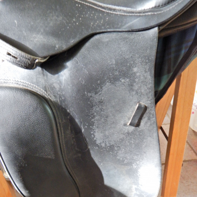Selle de dressage