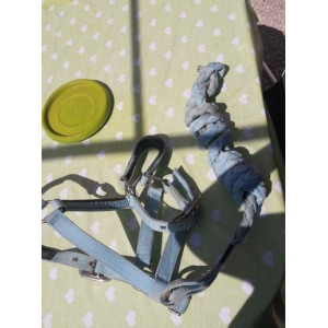 Licol poney bleu clair avec/sans longe