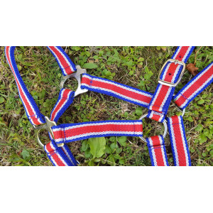 Licol bleu blanc rouge