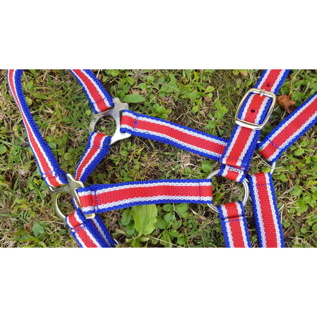 Licol bleu blanc rouge