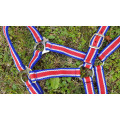 Licol bleu blanc rouge