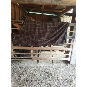 Chemise polaire Equitheme- 6'3