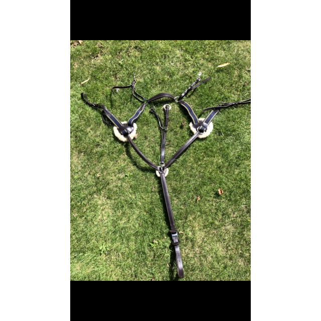 collier de chasse 5 points