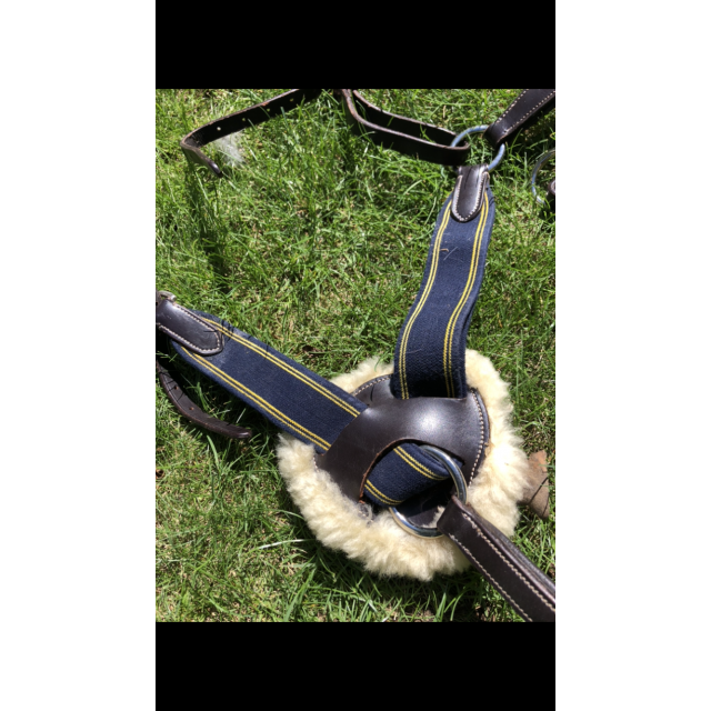 collier de chasse 5 points