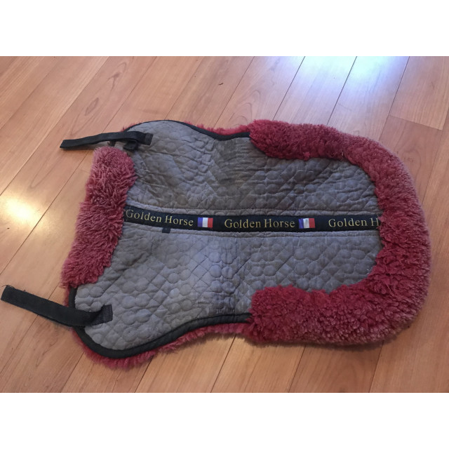 Amortisseur Golden Horse